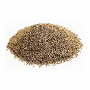 celery seeds suppliers