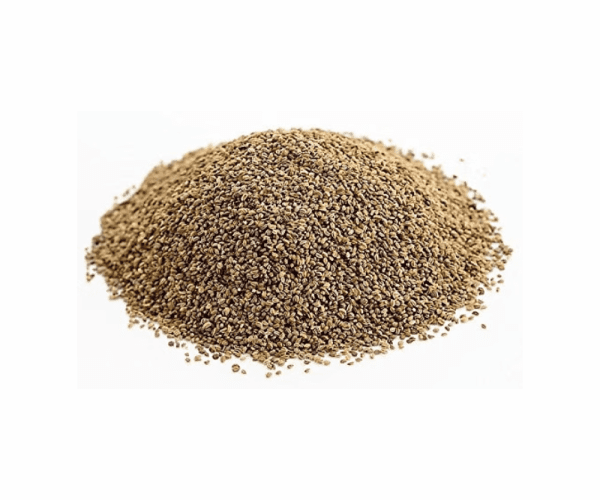 celery seeds suppliers