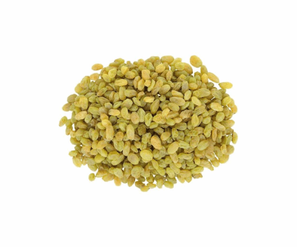 green raisins manufacturer