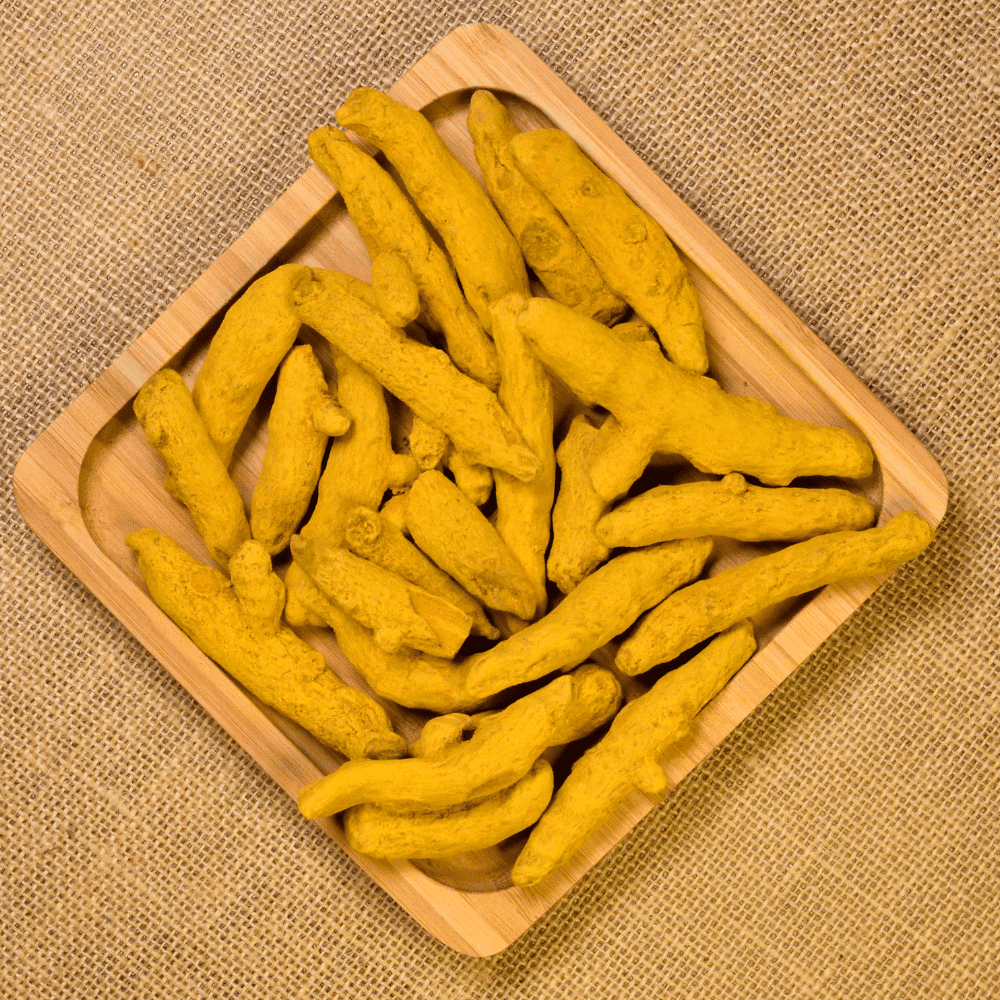 turmeric finger exporter