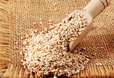 sesame seed exporters