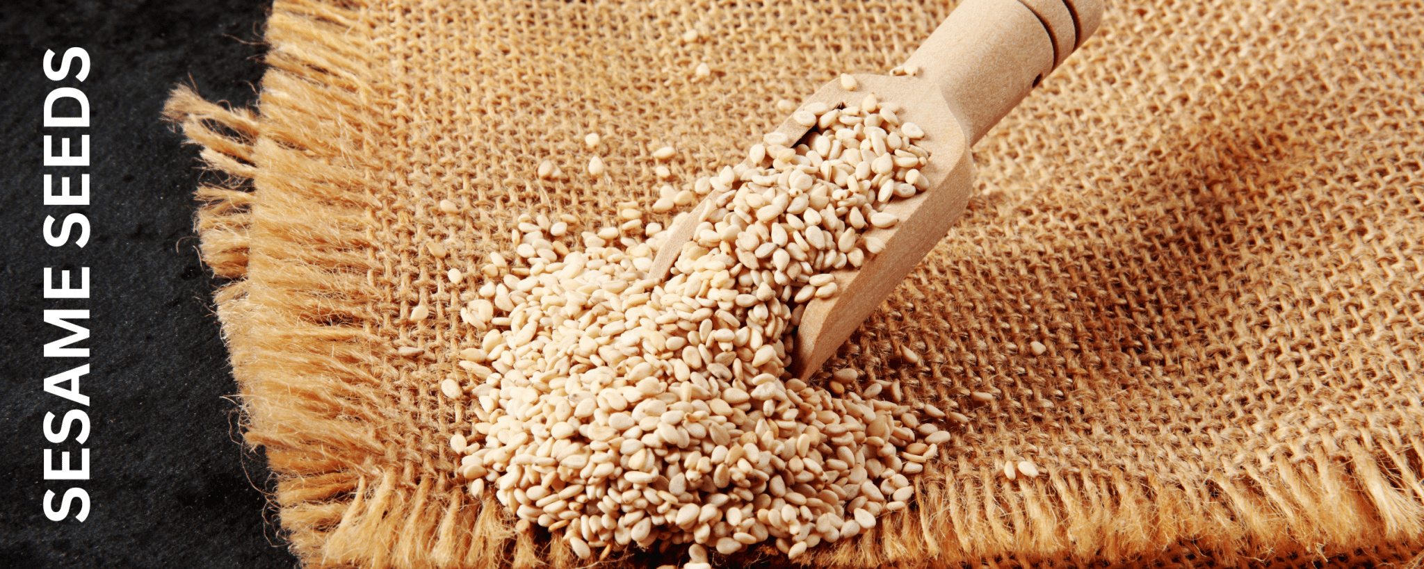 sesame seed exporters