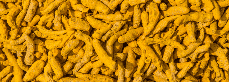 Turmeric Finger Exporters in India Turmeric Powder Manufacturers