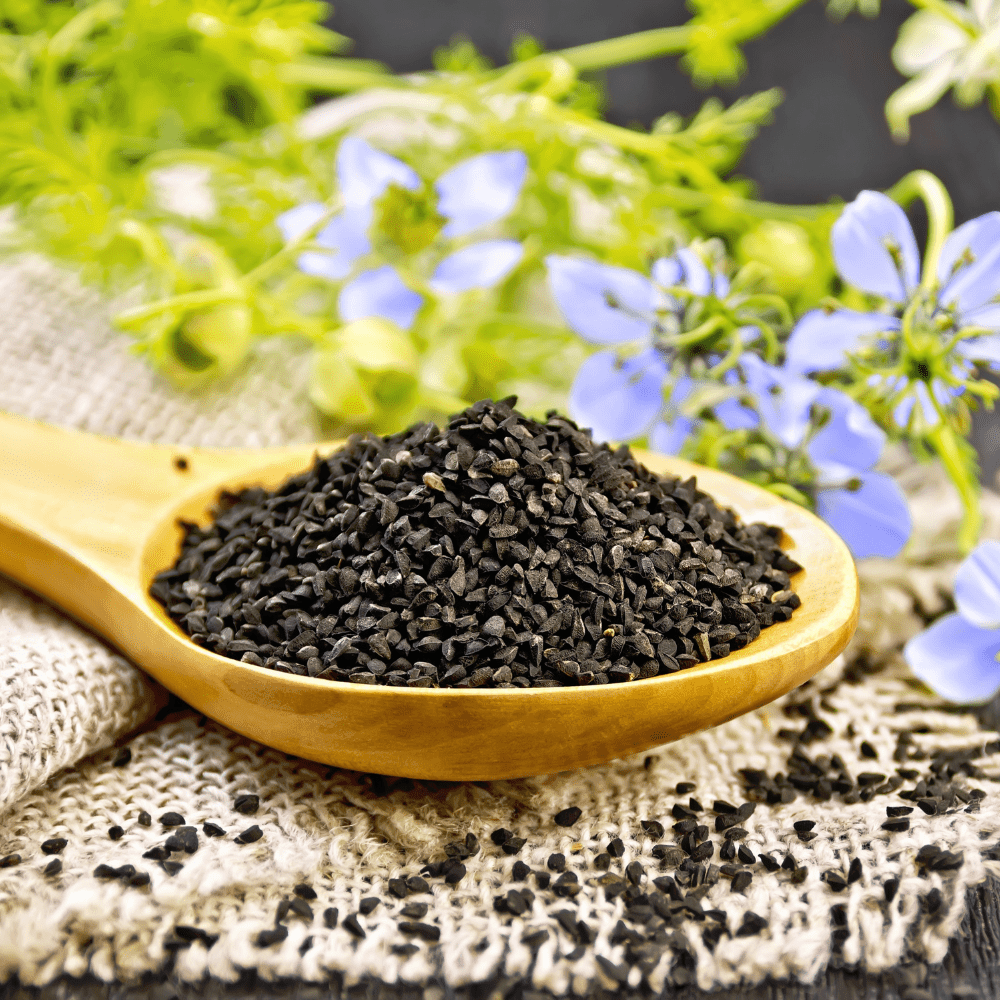 black cumin exporter