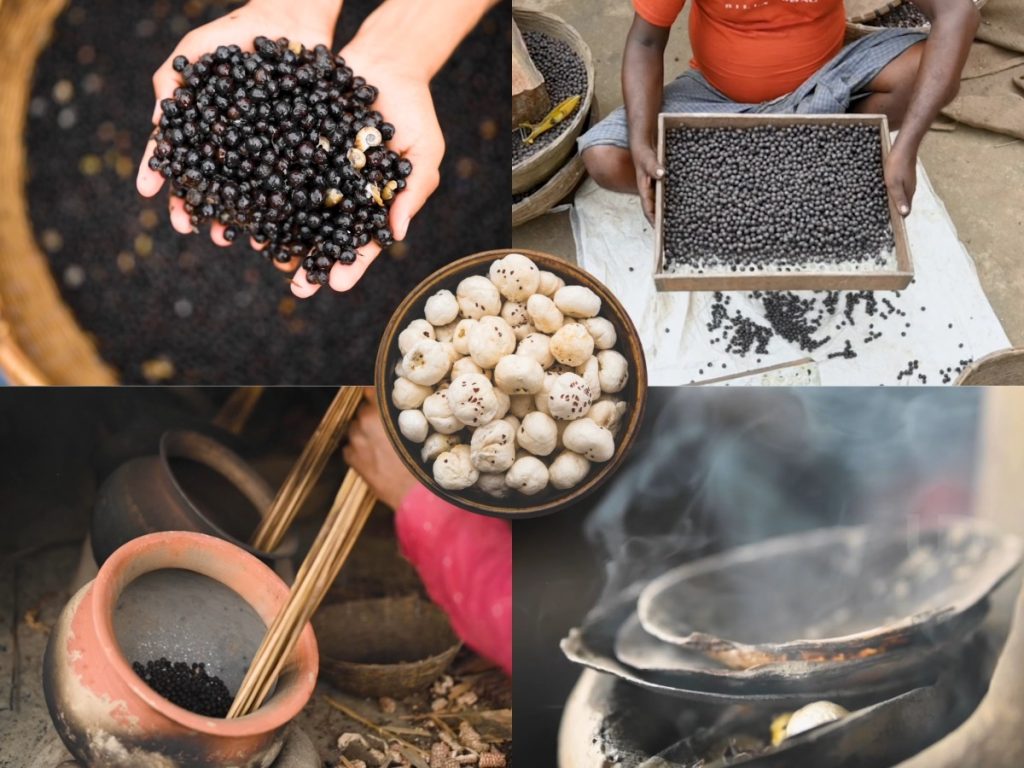 PUFFED LOTUS SEED PRODUCTION