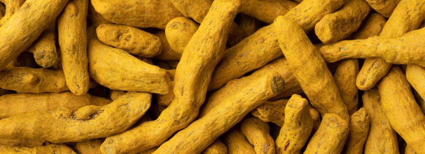 Turmeric Finger Manufacturers, Suppliers & Exporters From India