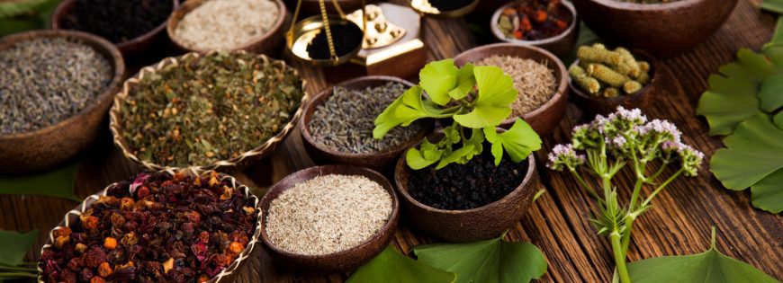 top herbs exporter from india