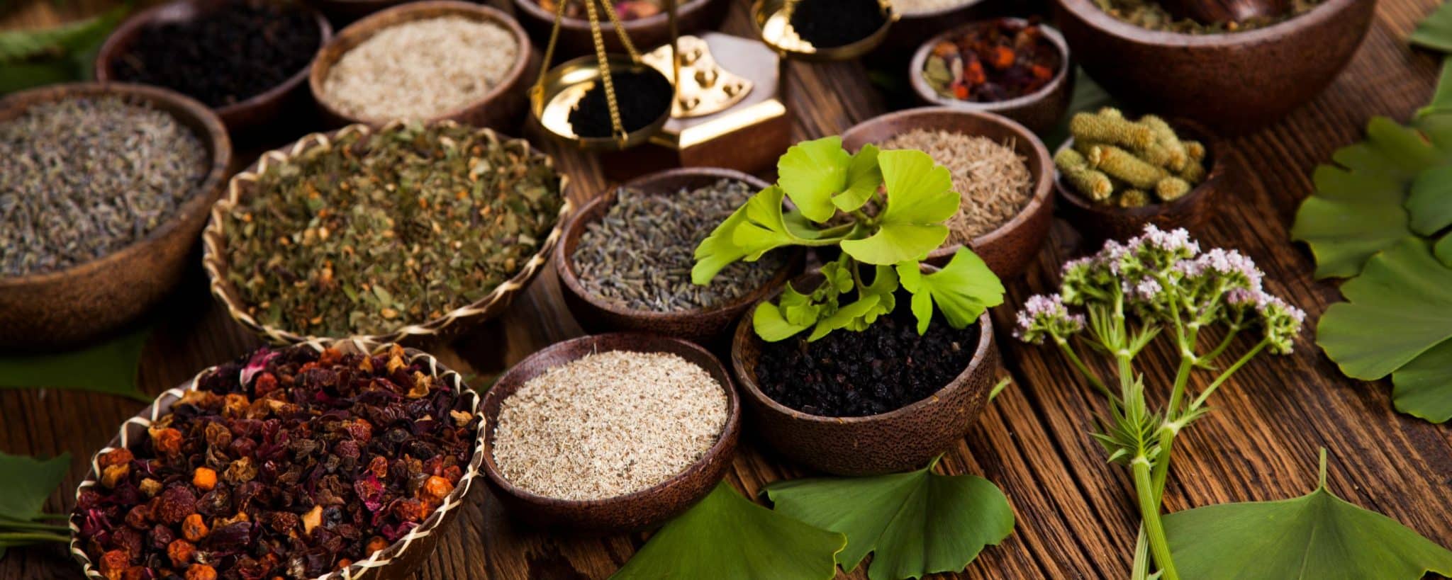 top herbs exporter from india